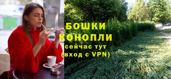 ПСИЛОЦИБИНОВЫЕ ГРИБЫ Беломорск