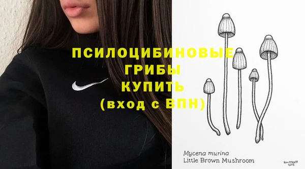 ПСИЛОЦИБИНОВЫЕ ГРИБЫ Беломорск