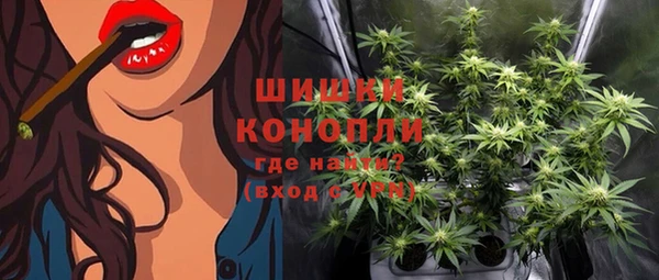ешки Белокуриха