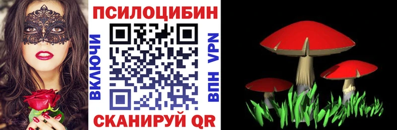 Галлюциногенные грибы Psilocybe  Нарткала 